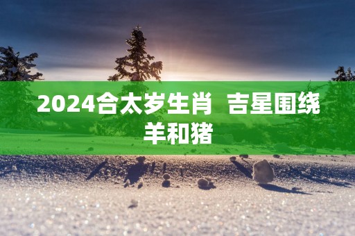 2024合太岁生肖 吉星围绕羊和猪