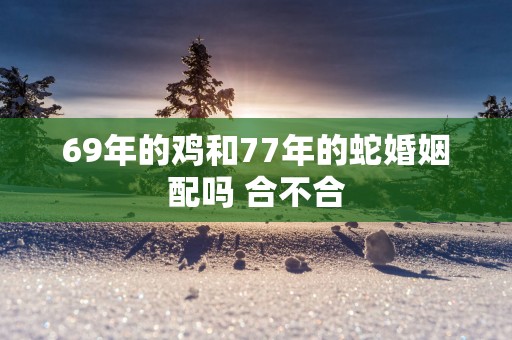 69年的鸡和77年的蛇婚姻配吗 合不合