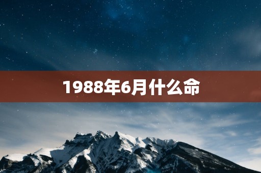 1988年6月什么命