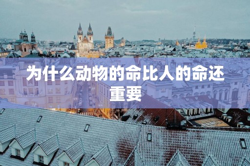 为什么动物的命比人的命还重要