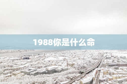 1988你是什么命