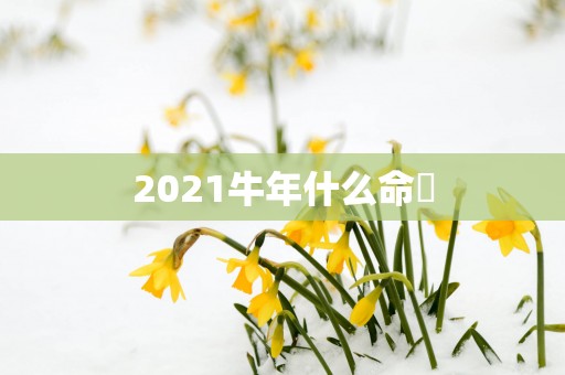2025蛇年什么命翀