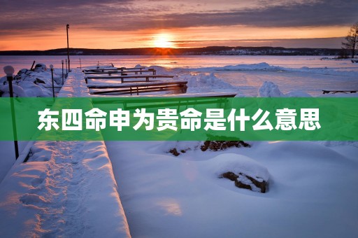 东四命申为贵命是什么意思