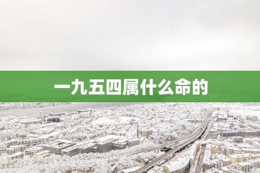 一九五四属什么命的