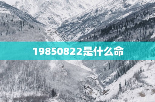 19850822是什么命