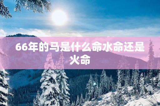 66年的马是什么命水命还是火命