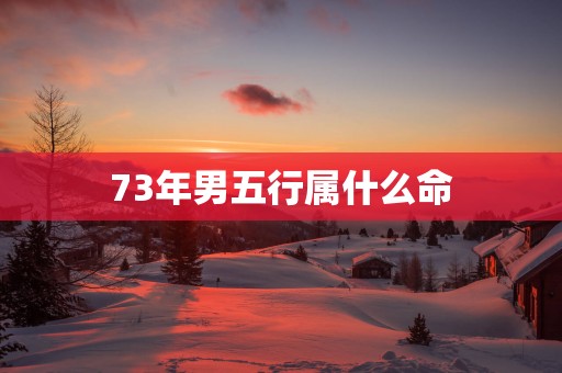 73年男五行属什么命