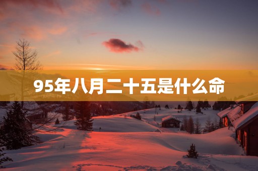 95年八月二十五是什么命
