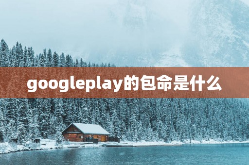 googleplay的包命是什么