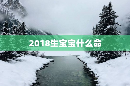 2018生宝宝什么命