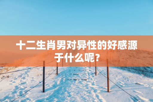 十二生肖男对异性的好感源于什么呢？