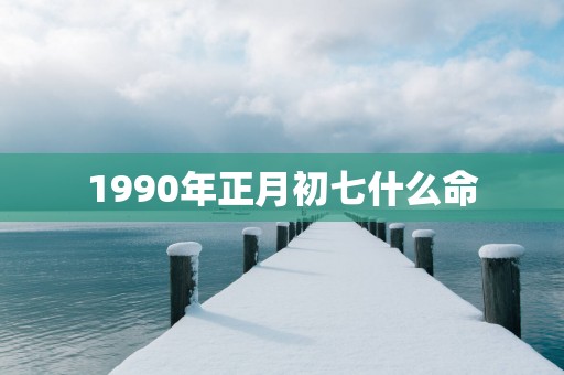 1990年正月初七什么命