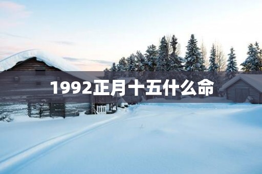 1992正月十五什么命