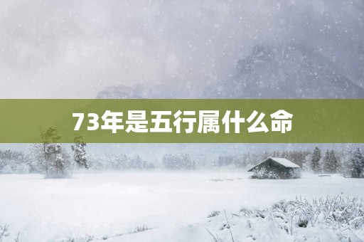 73年是五行属什么命