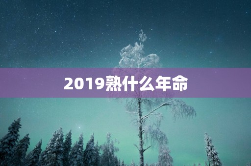 2019熟什么年命