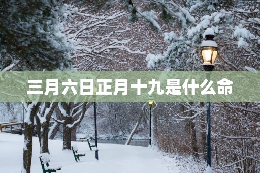 三月六日正月十九是什么命