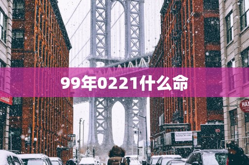 99年0221什么命