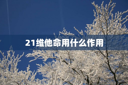 21维他命用什么作用