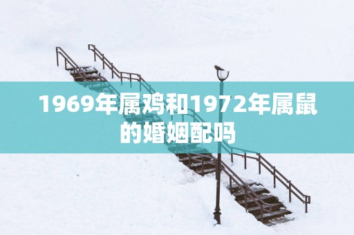 1969年属鸡和1972年属鼠的婚姻配吗