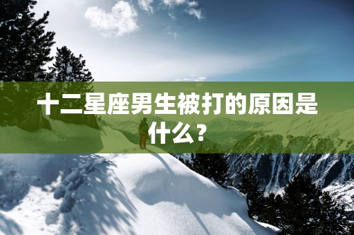 十二星座男生被打的原因是什么？