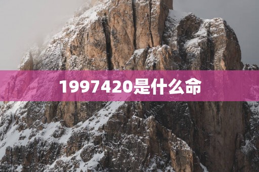 1997420是什么命