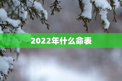 2022年什么命表