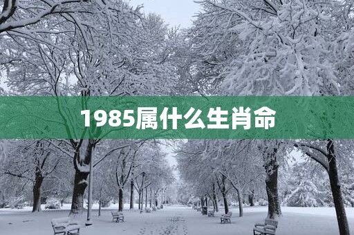 1985属什么生肖命