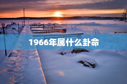 1966年属什么卦命