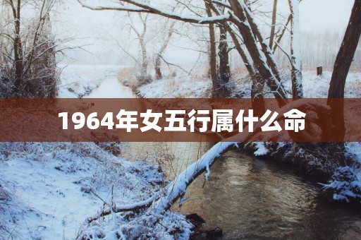 1964年女五行属什么命