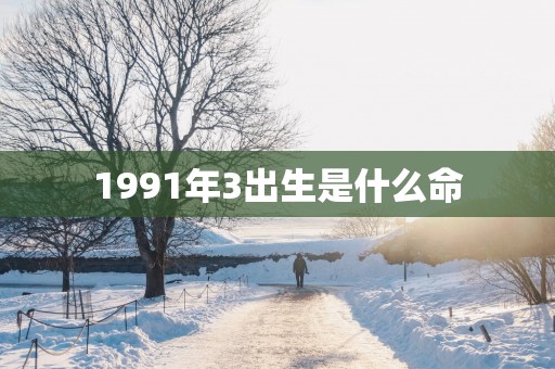 1991年3出生是什么命