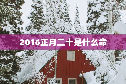 2016正月二十是什么命