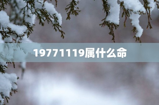 19771119属什么命