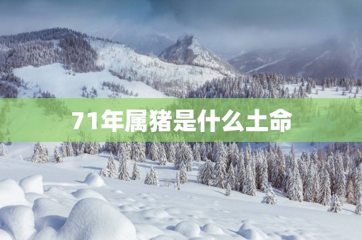 71年属猪是什么土命