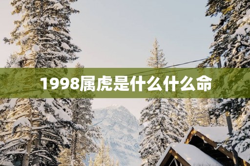 1998属虎是什么什么命