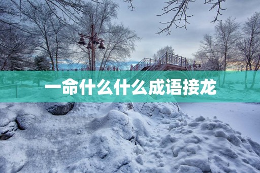 一命什么什么成语接龙