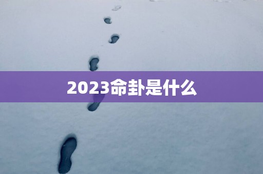 2025命卦是什么