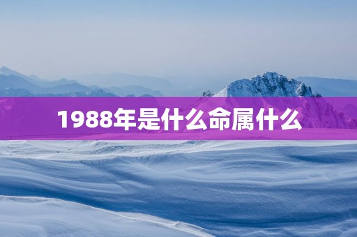 1988年是什么命属什么