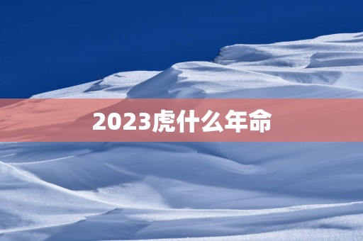 2025虎什么年命