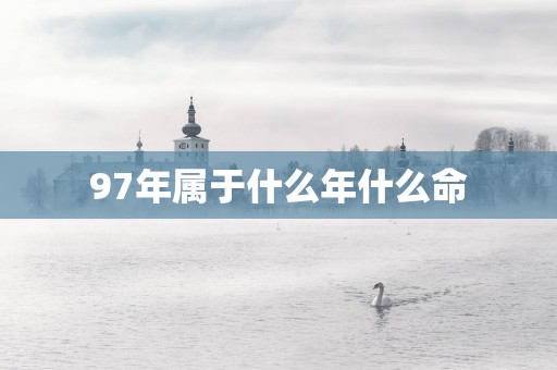 97年属于什么年什么命