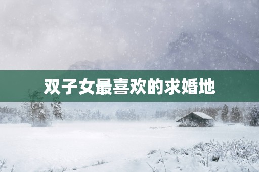 双子女最喜欢的求婚地