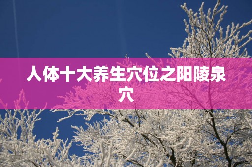 人体十大养生穴位之阳陵泉穴
