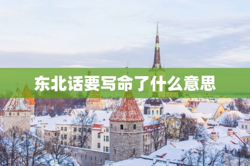 东北话要写命了什么意思