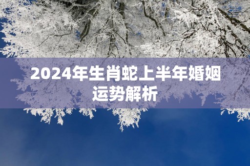 2025年生肖蛇上半年婚姻运势解析