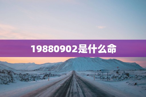 19880902是什么命