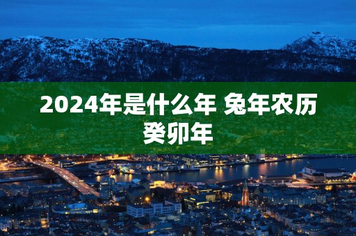 2024年是什么年 兔年农历癸卯年