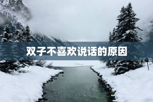 双子不喜欢说话的原因