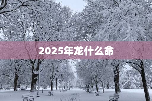2025年龙什么命