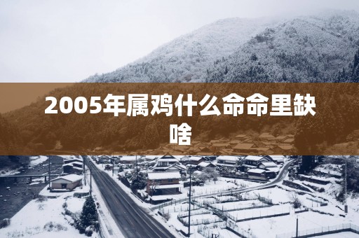 2005年属鸡什么命命里缺啥