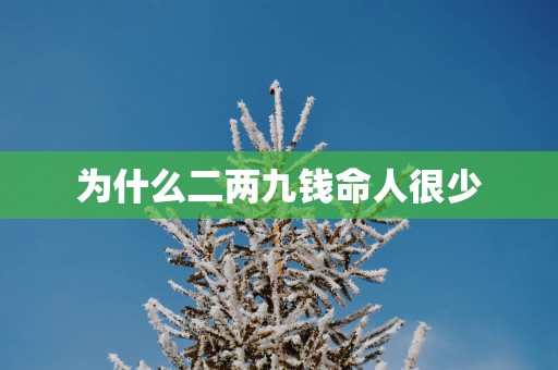 为什么二两九钱命人很少