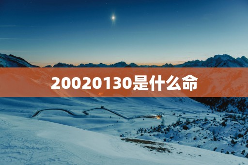 20020130是什么命
